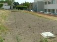 Fitodepurazione a flusso verticale - Reflui civili